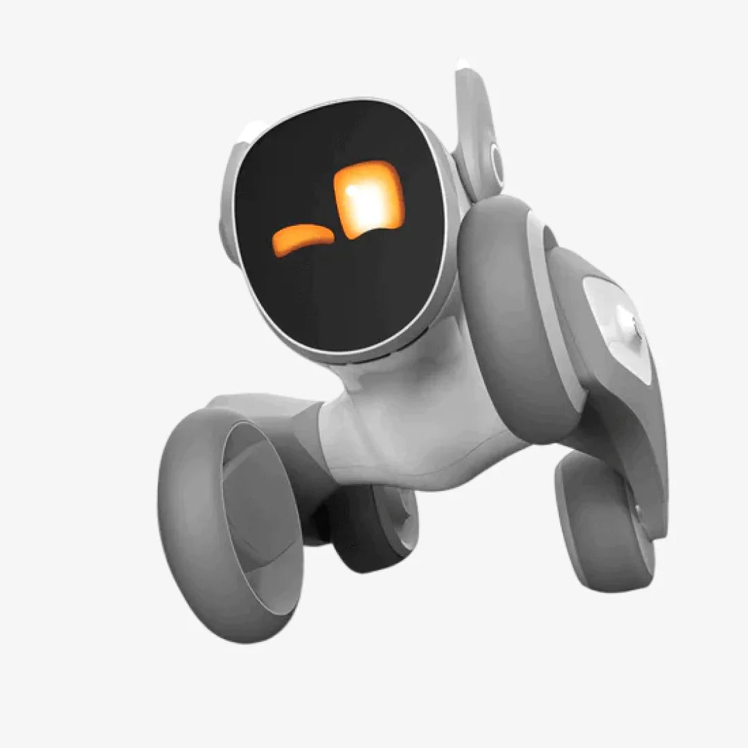 Remote Control Pet