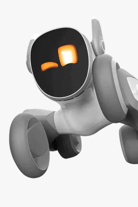 Remote Control Pet