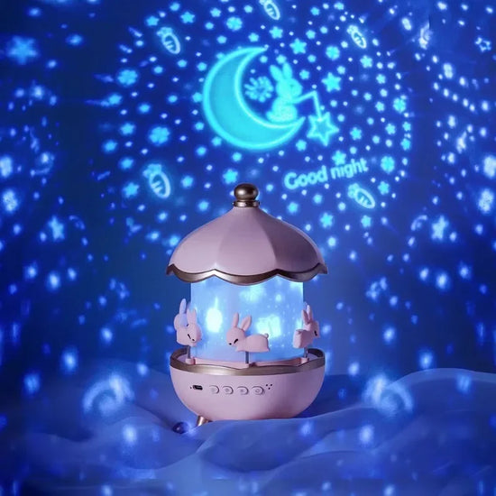 Portable rechargeable projector