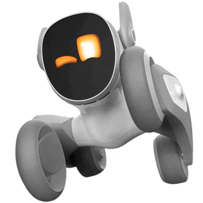 Remote Control Pet
