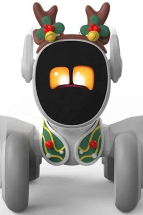Remote Control Pet