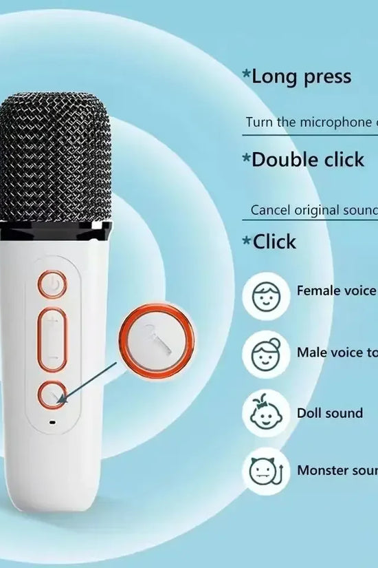 Wireless Bluetooth Speaker Multifunction with 2 Microphone
