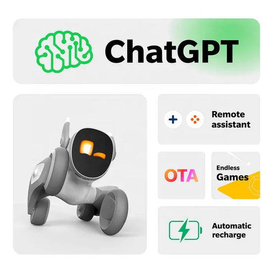Remote Control Pet