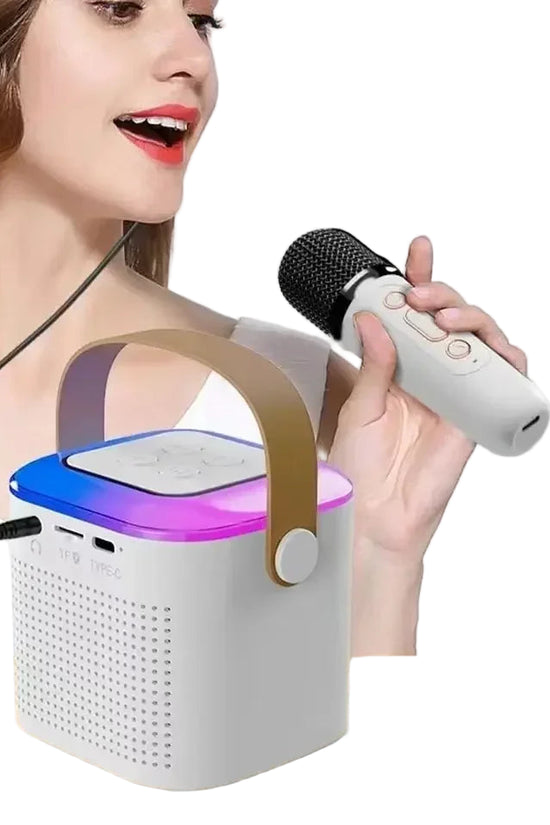 Wireless Bluetooth Speaker Multifunction with 2 Microphone